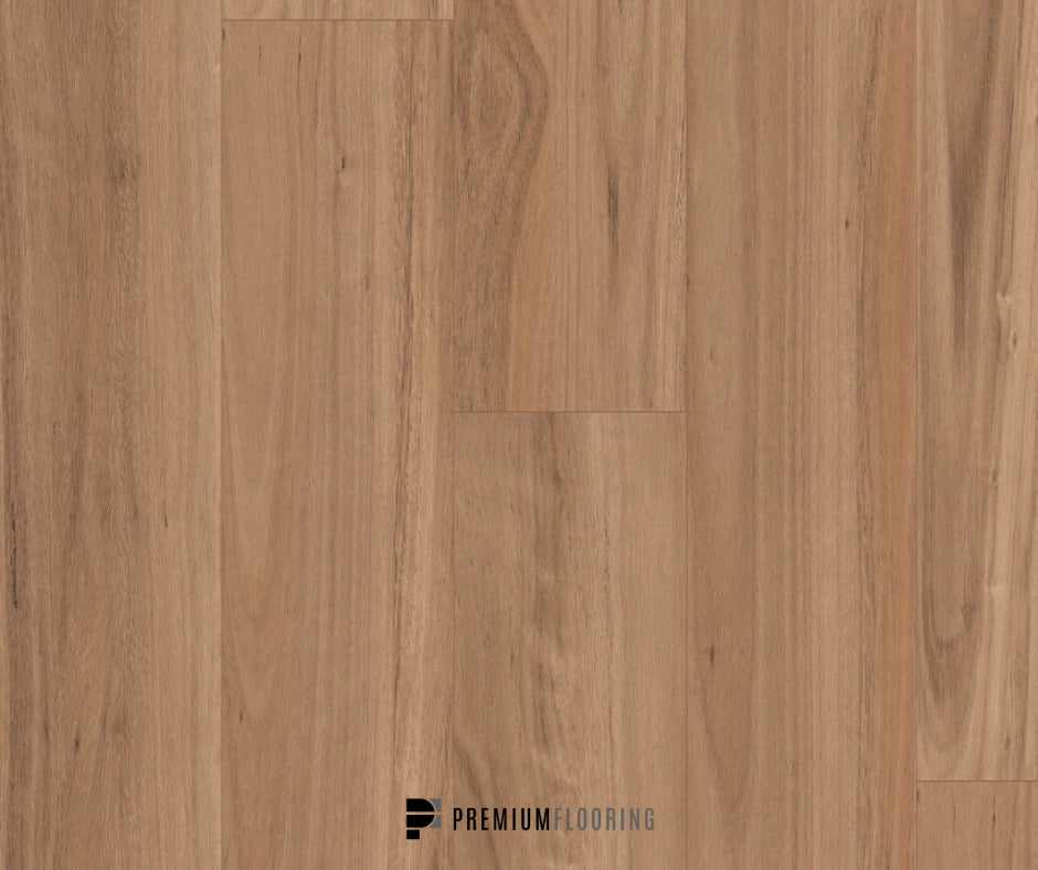 Titan Hybrid XXL Blackbutt Select