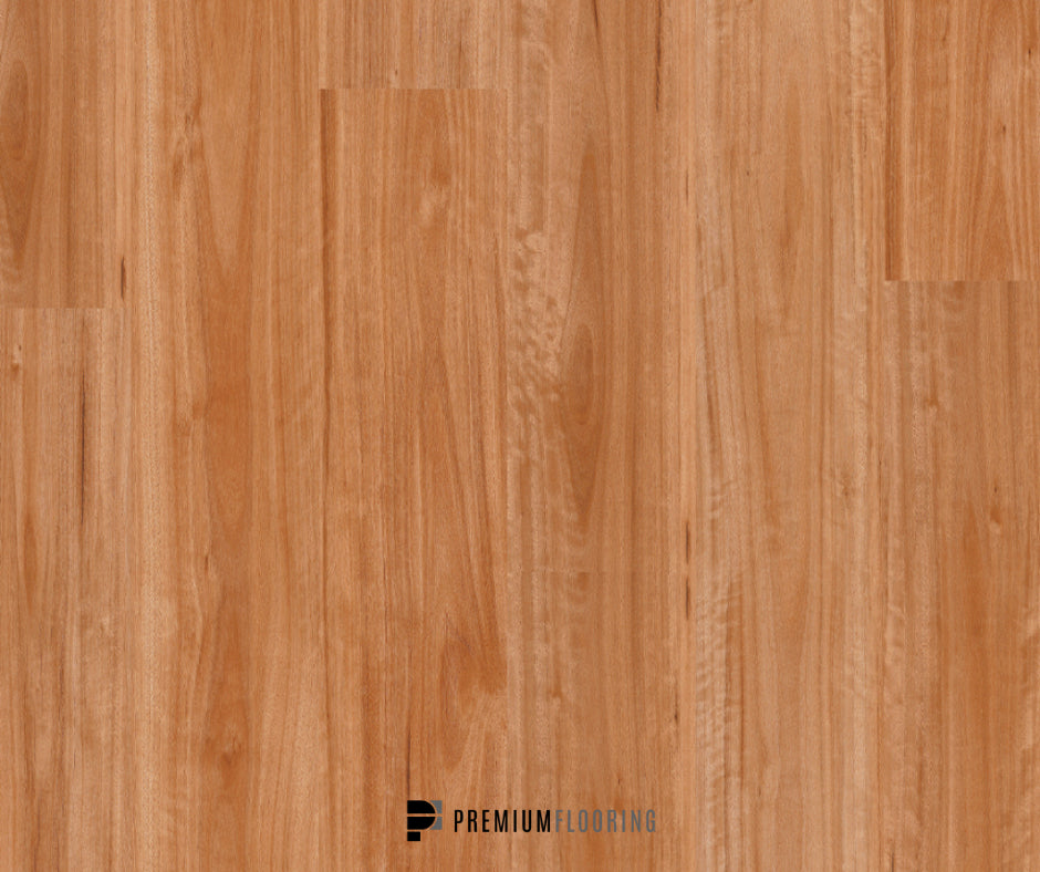 Titan Comfort Blackbutt