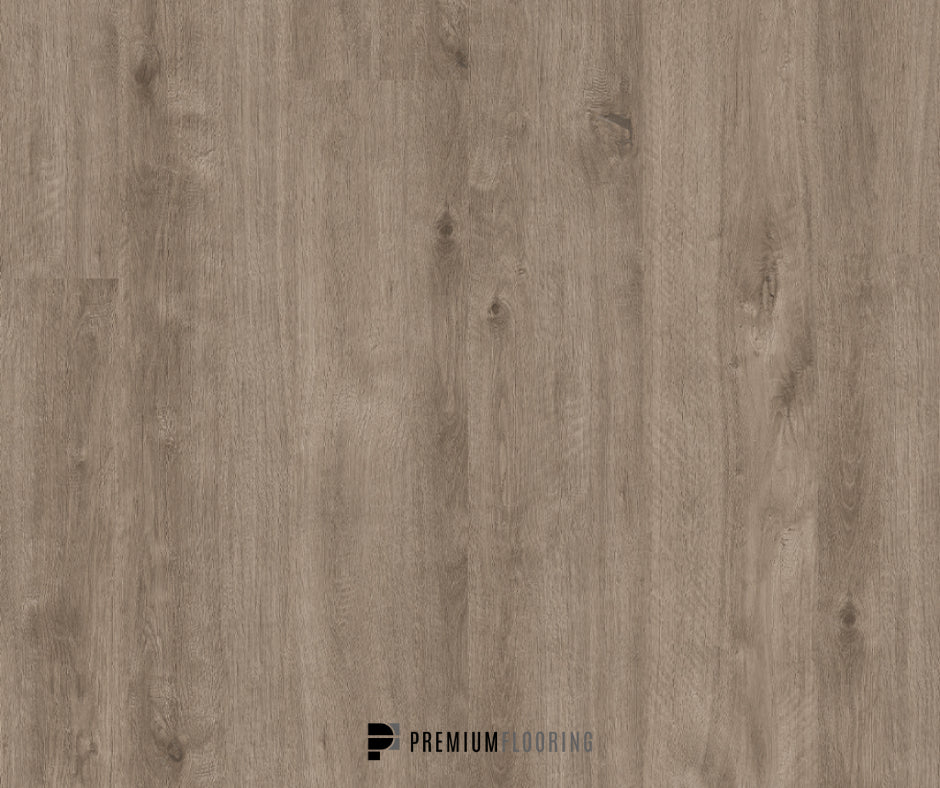 Titan Glue Pale Driftwood