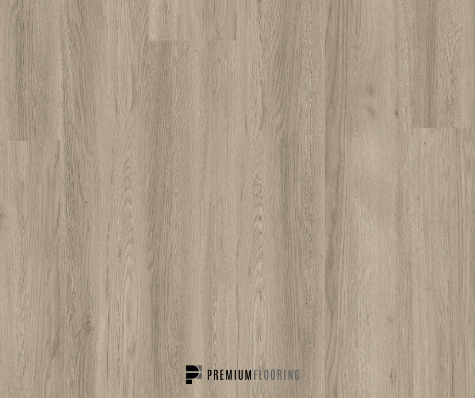 Titan Glue Silver Grey Ash