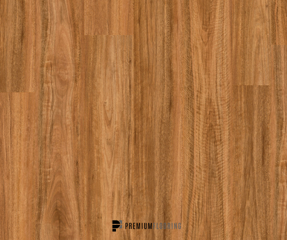 Titan Hybrid Spotted Gum