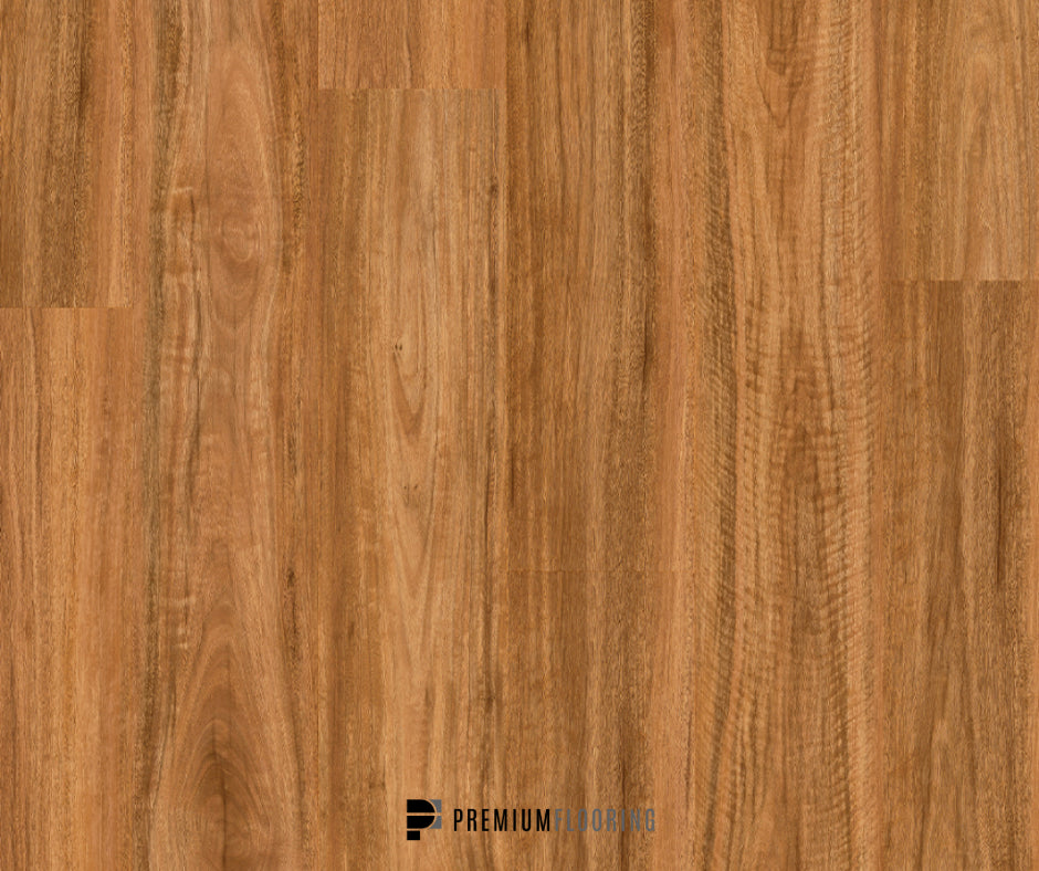 Titan Glue Spotted Gum